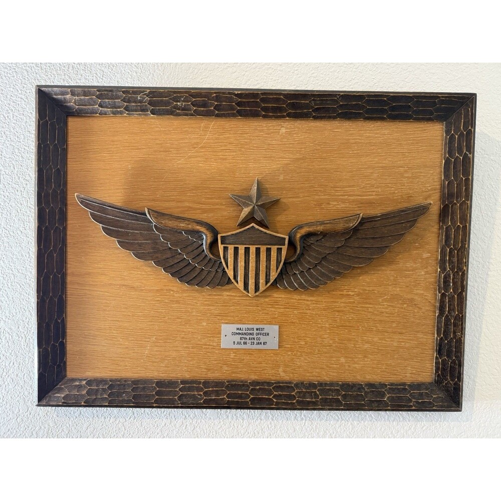 VTG 1967 USAF Pilot Large Framed Wood Wings ~22x16.5” Master German Sculptor